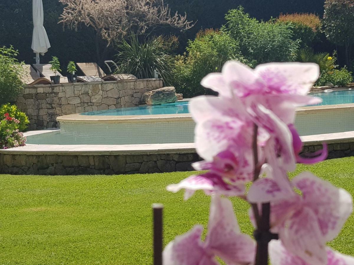 Au Pays De Cezanne Picasso & Matisse Lägenhet Aix-en-Provence Exteriör bild