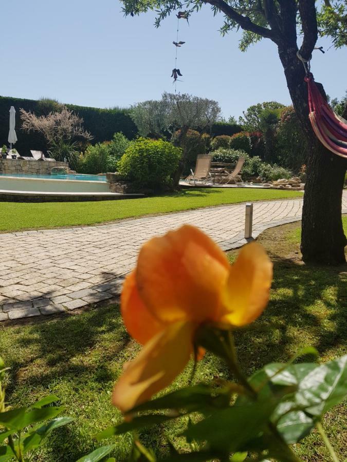 Au Pays De Cezanne Picasso & Matisse Lägenhet Aix-en-Provence Exteriör bild