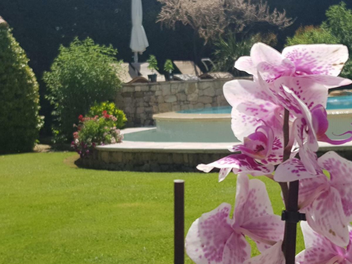 Au Pays De Cezanne Picasso & Matisse Lägenhet Aix-en-Provence Exteriör bild